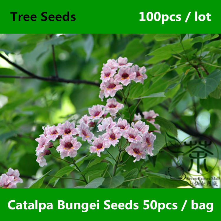 Online kaufen groÃhandel baum garten design aus china baum garten ...