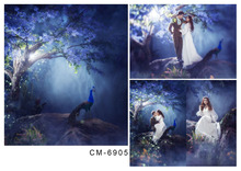 Kate Wedding Backdrops Vinyl Backdrop For Photography Backgrounds Photo Studio Bride Romantic Fotografia