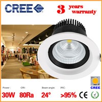 TD CREE-S30W