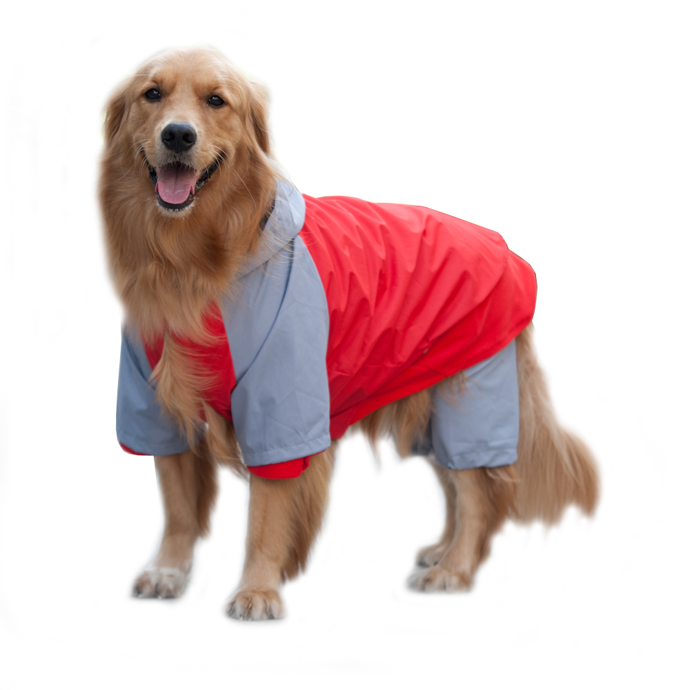 buy golden cocker retriever compare prices on golden cocker retriever shopping buy low price golden cocker buy golden cocker retriever compare prices on golden cocker retriever shopping buy low price golden cocker