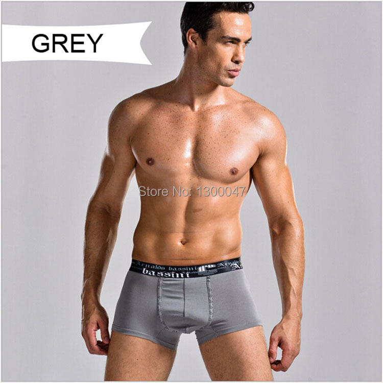 2015 new sexy mens boxer shorts underwear boxers bamboo fiber men cuecas boxer men's pants lingerie soft bottoms 6 color m-xxl