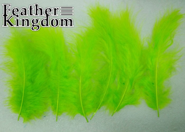 light green Turkey feather