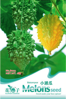 Bitter Melon Balsam Pear Fruit Seeds, Original Pack, 6 Seeds / Pack, Bitter Gourd  Vegetables B022