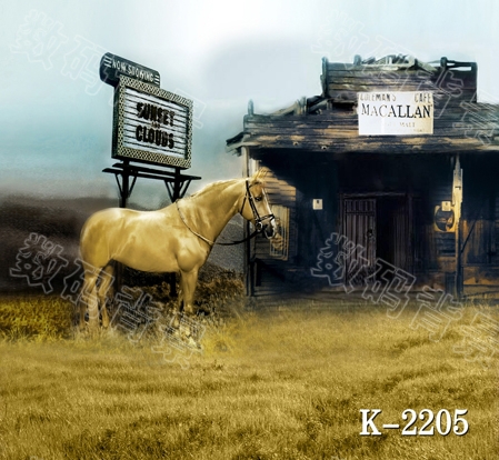 8*8ft vinyl photo studio photographic backdrops photography backdrop photo studio background horse scenic small house k-2205