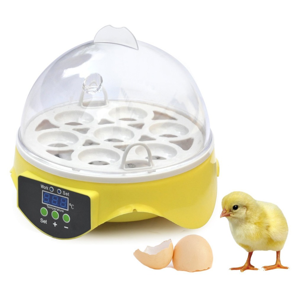 Mini 7 Egg Incubator Poultry Incubator Brooder Digital Temperature 