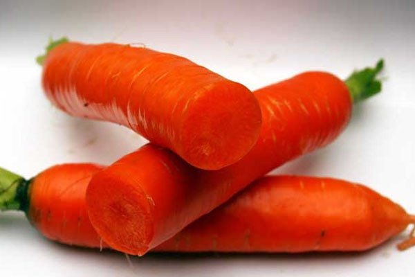 Морковь женьшень описание сорта фото отзывы садоводов Морковь женьшень описание сорта фото отзывы садоводов