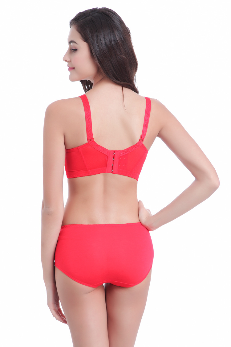 Bras Wholesale Fashion Delicate Embroidery Lace Bra Sets ABC Cup