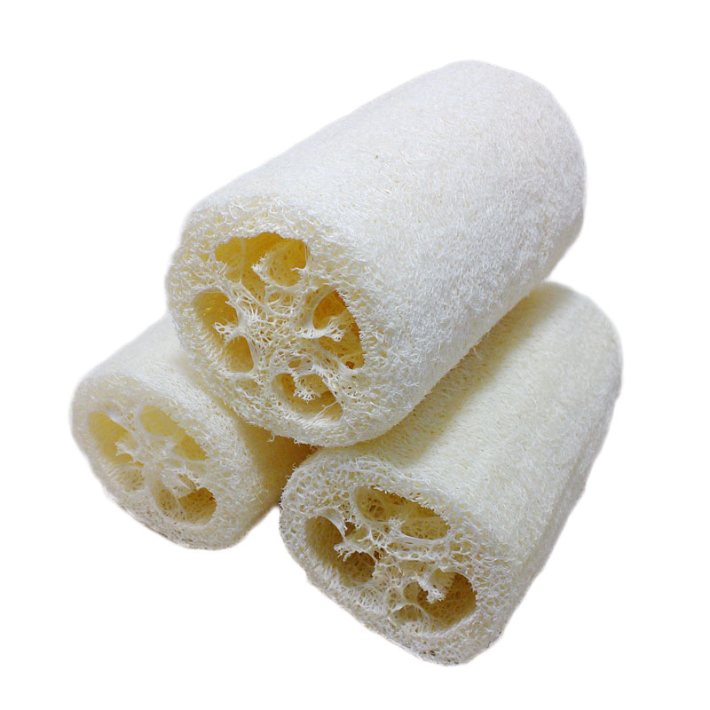 Online Buy Wholesale Loofah Sponges From China Loofah Sponges ...