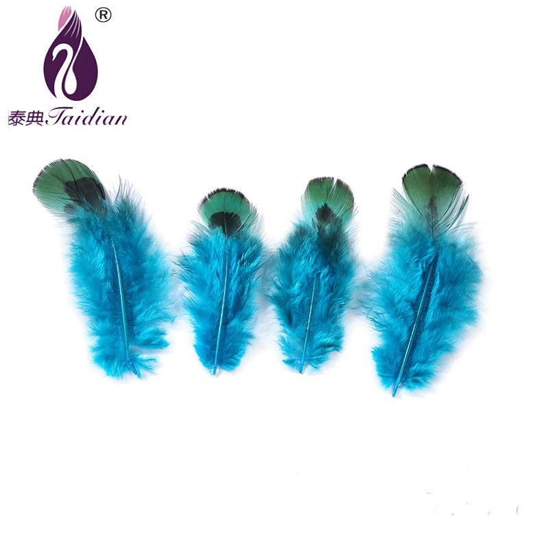 YM-021 Blue Feather SADDLE PHEASANT chicken plumes