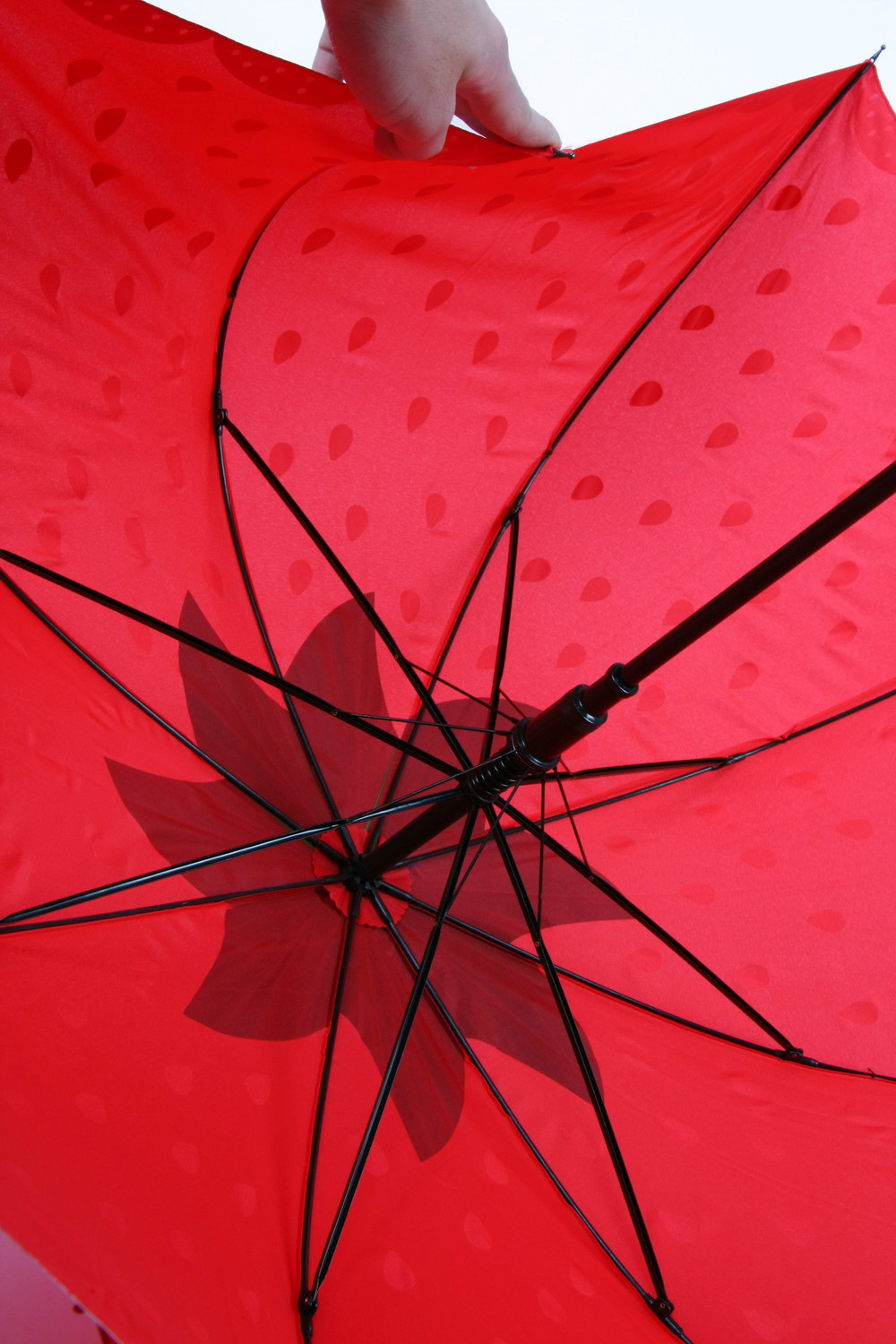 umbrella paraguas umbrella03.jpg