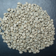 JinQing Featured Product Top Yunnan Baoshan Iron Pickup Blue Mountain Siblings Arabica Raw Green Coffee Beans