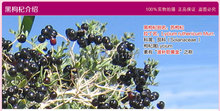 2015 new arrival 200g Black Wolfberry Fruit Organic Medlar Healthy Berries Pure Goji Berry Best Food