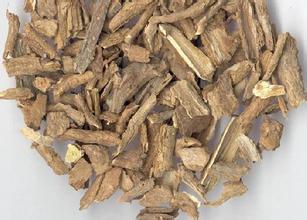 1000g dried herb cortex lycii radicis extract Chinese Wolfberry Root Bark extract cortex lycii extract