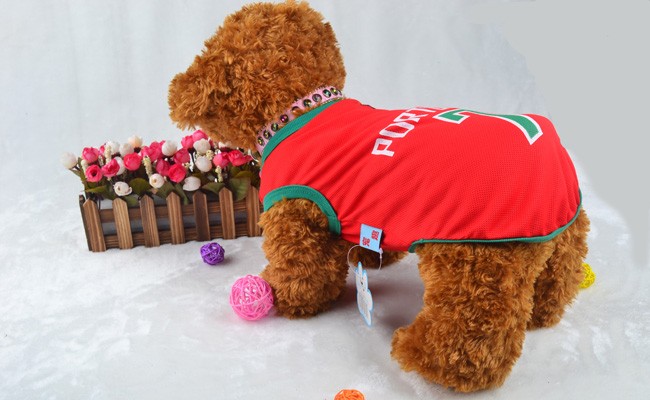 TB2TiUUaXXXXXcXXXXXXXXXXXXX_!!573937187