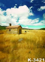 Top Printed Background For Photo Studio 150*200CM Yellow Grasses Old House Props Photographie Art Backdrops For Wedding Couples