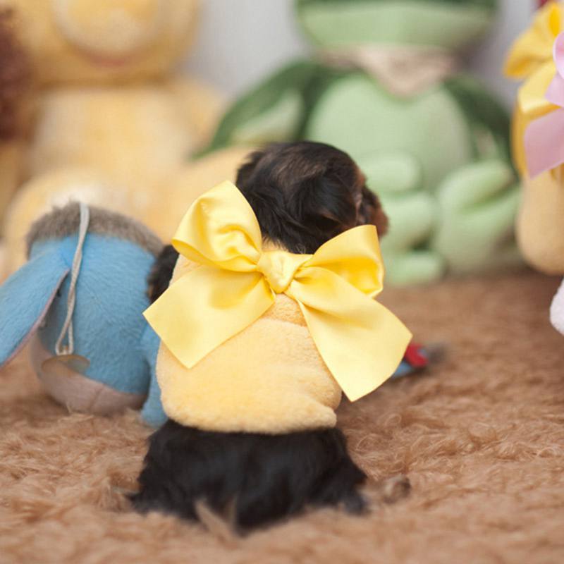 Baby Dogs Fleece Vest Big Bow Small Pet Dog Warm Baby Dogs Fleece Vest Big Bow Small Pet Dog Warm