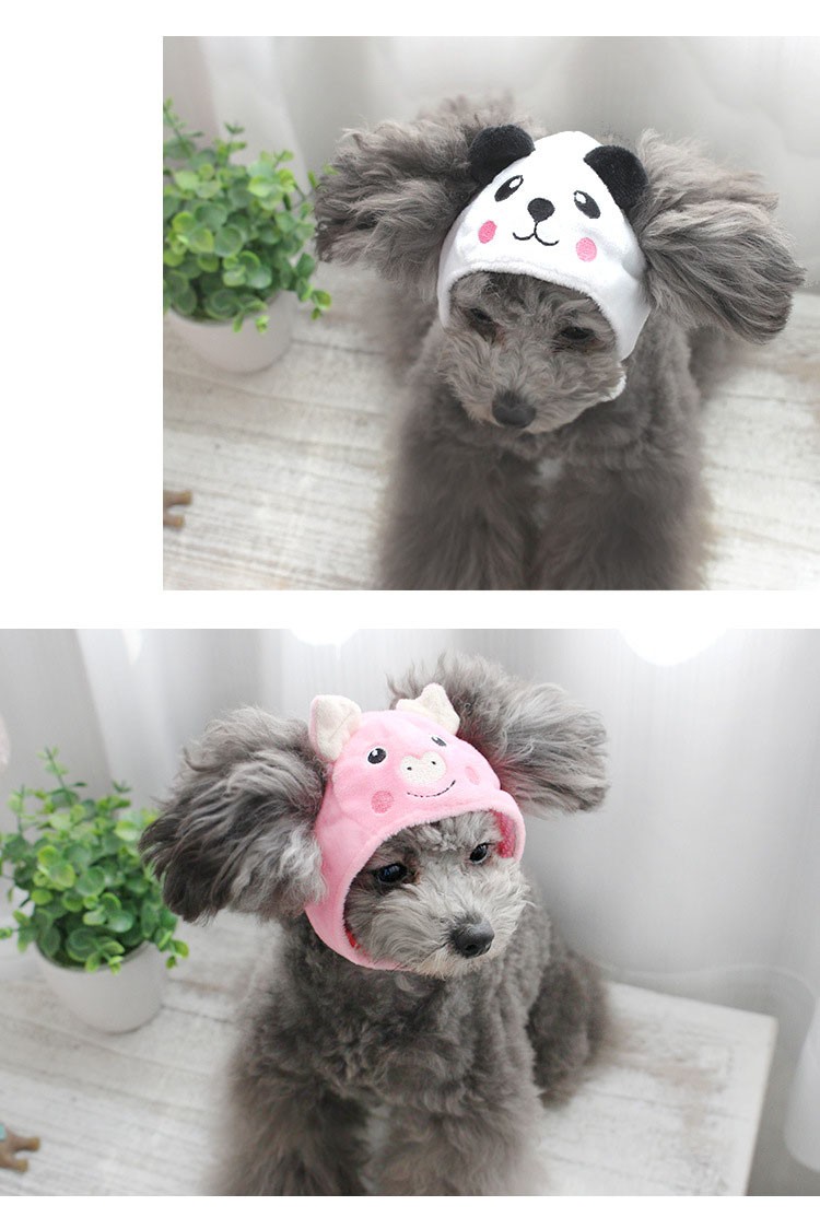 puppy hat