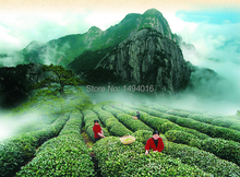 500g smoke flavor Lapsang souchong chinese wuyi black tea with spring tea material bag packing 2014