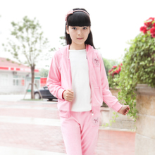 2015 new autumn summer children clothing sets baby girl velet sports suit kids twinset sportswear hoodies