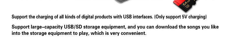 USB-SD_04