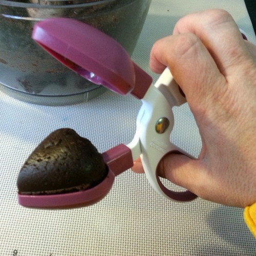 HTB1BnRuFVXXXXa0XFXXq6xXFXXXs