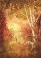 scenic photography backdrops for baby photo studio vinyl 5x7ft or 3x5ft children background props JIEBJ296
