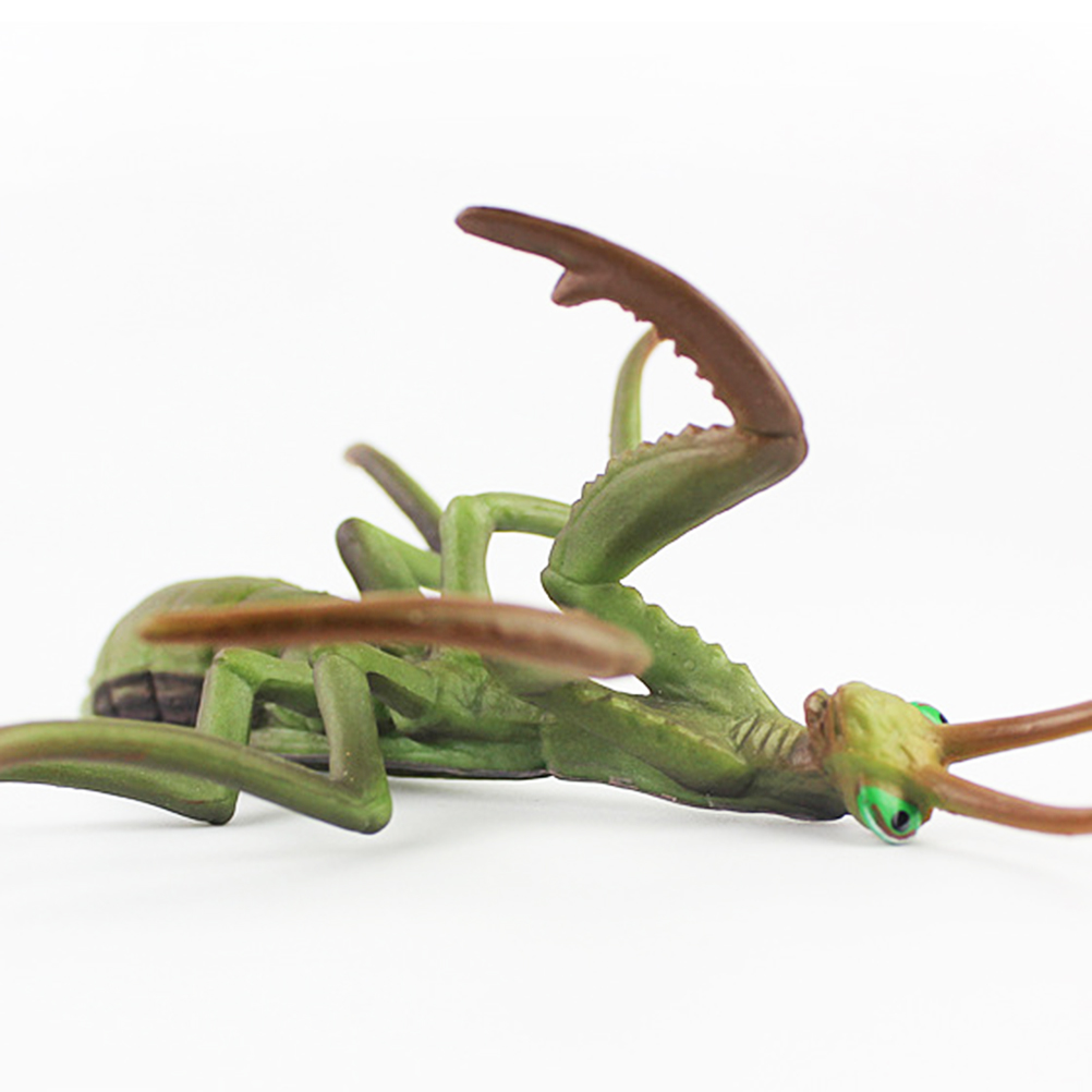 1pc Mantis Figurine Lifelike Simulation Insect Model Toy Home Desktop Decoration