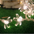 AC220V 10M 50Led decorative Christmas cherry blossom light string of lights for outdoor garland New Year