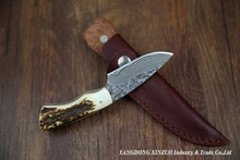 2015 NEW XINZUO Damascus steel Fixed blade Knives with Natural antlers Handle High Quality hunting knife