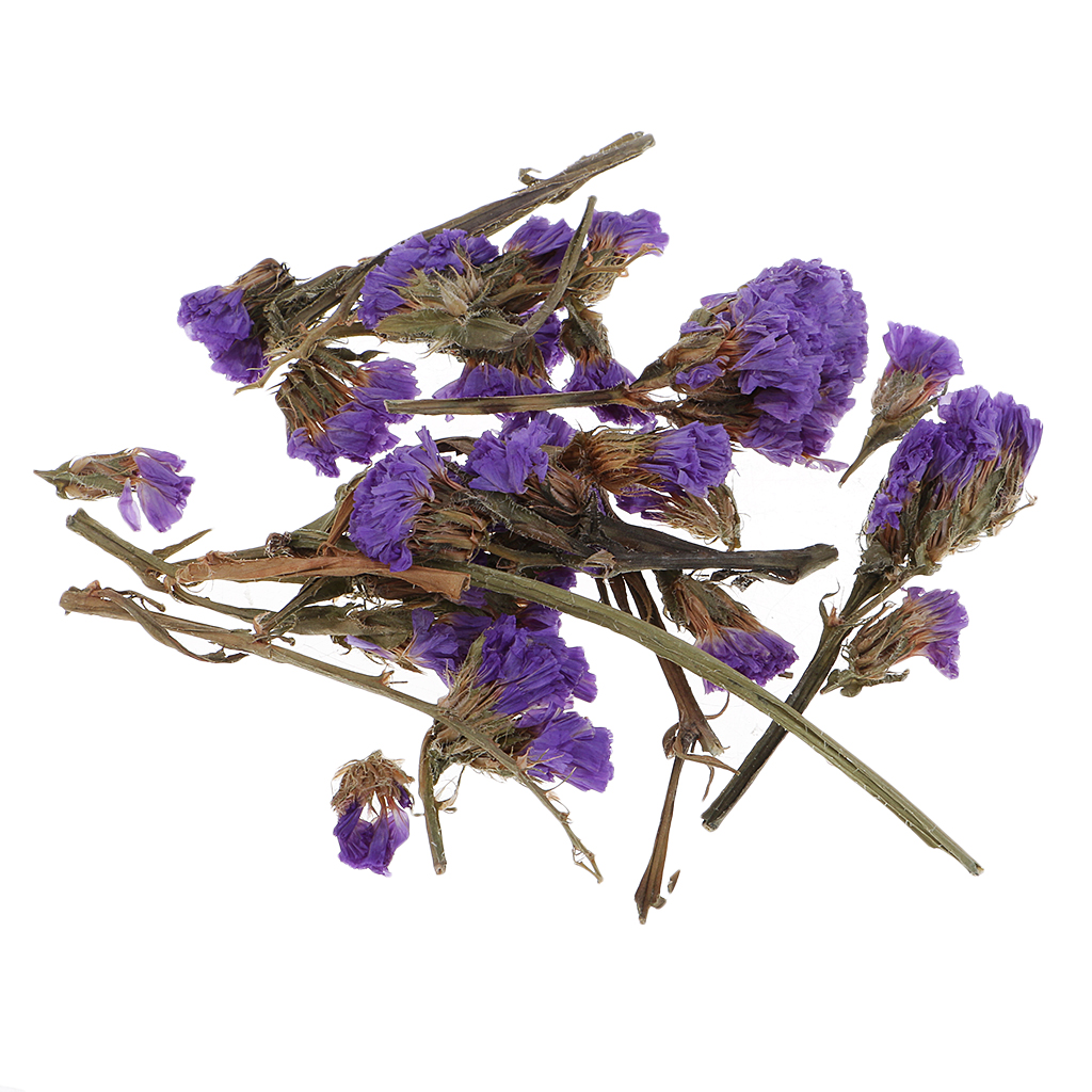 4g Natural Real Flower Dried Flowers Embellishment for DIY Craft Scrapbook