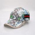 Free shipping 2015 hip hop cap baseball cap fashion outdoor sports Korean luxury tide male hip