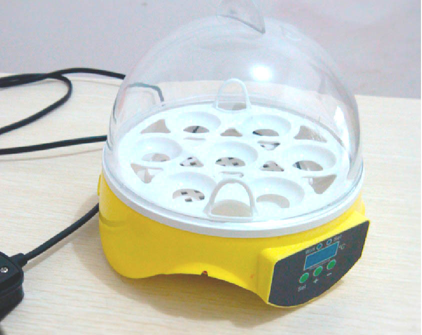  Eggs Incubator Chic   ken goose Duck Poultry Hatch Laboratory Machine