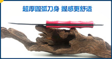 A 06 New design Folding Blade orange Stainless steel knife handle Hunting knives fruit knife Netherlands