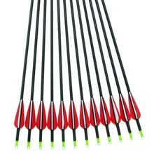 12 Pcs 30 Archery Carbon Arrows with Replaceable Arrowheads and Plastic Feathers Spine 500 Fit for