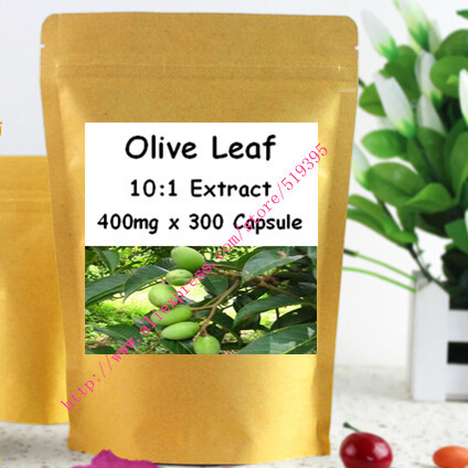 100% nature Olive Leaf Powder Extract 10:1 caps 500mg x 300pcs caps powerful antioxidant  free shipping