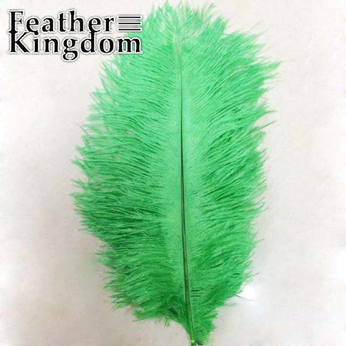 green ostrich feather