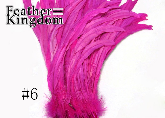 rose cock tail feather