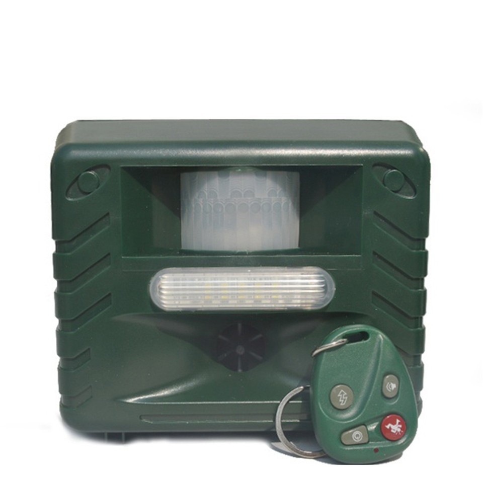 HTB1HNCkKXXXXXaNXpXXq6xXFXXXE