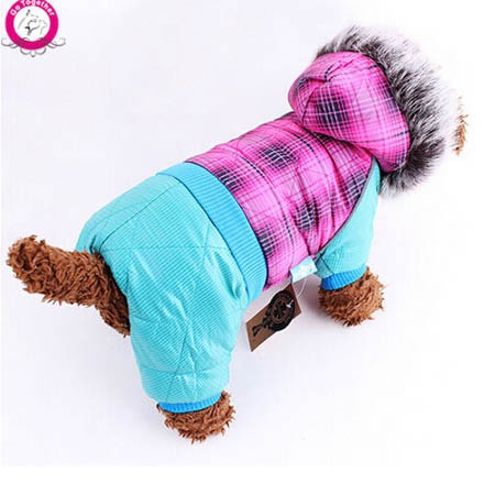 dog winter clothing