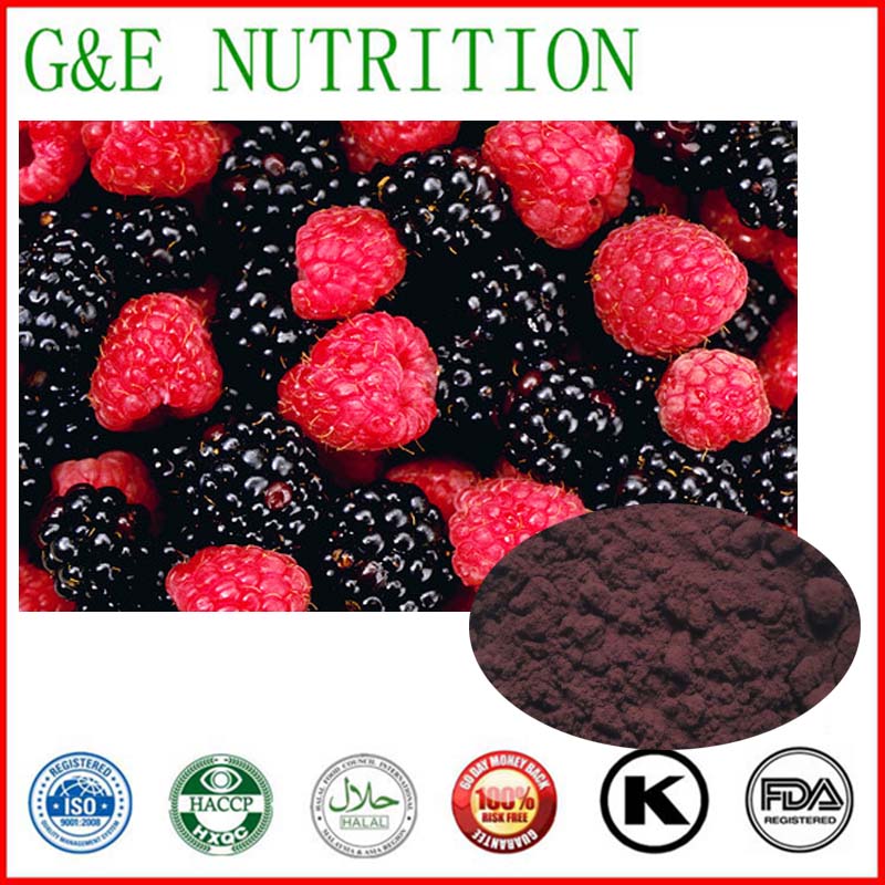 Pure Natural Mulberry fruit extract/Mulberry fruit extract powder 1KG