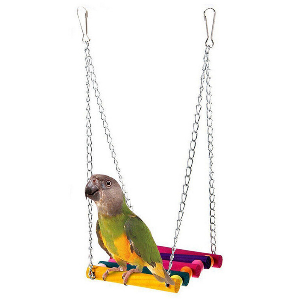 1 .        Cockatiel    ,   HangingToy Brinquedo