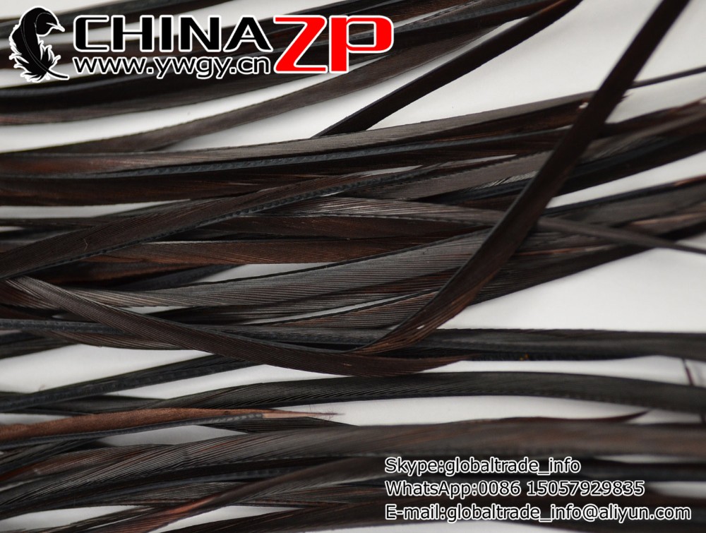 20 pcs - Goose Biots Feathers, Ebony Brown, Loose, can be curled, ironed, no. 0313