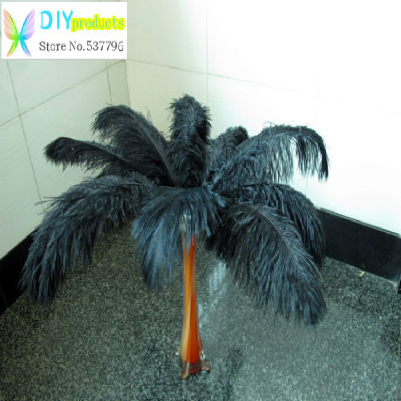  pluma   avestruz 10 .      50 - 55  / 20  22 ()
