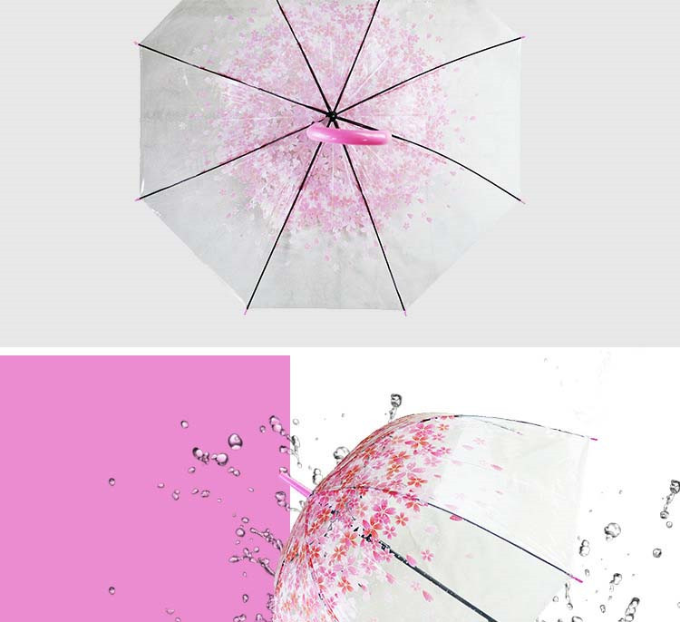 UMbrella paraguas Umbrella05.jpg