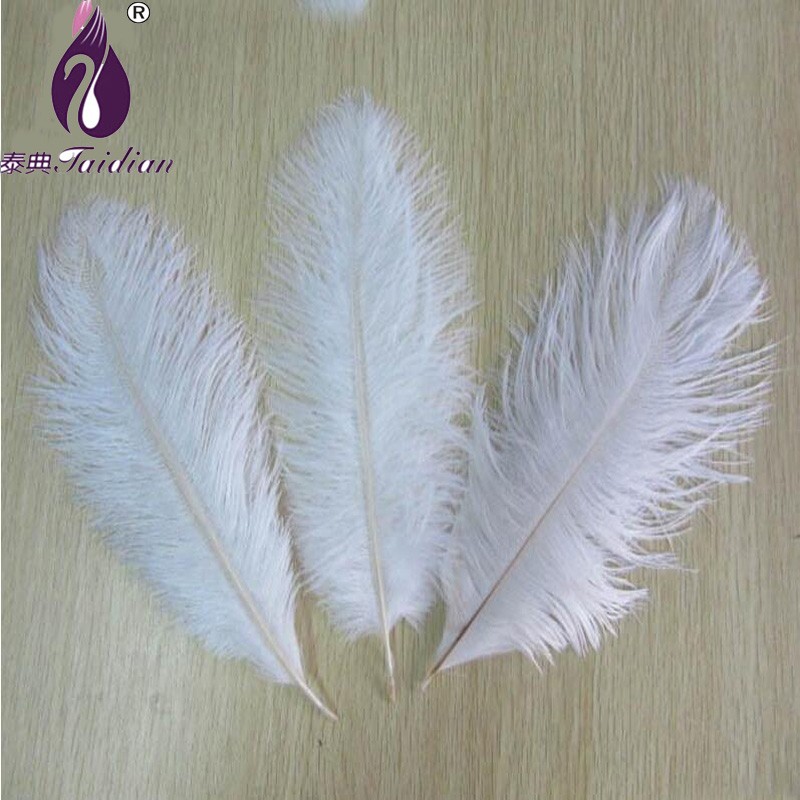 WHITE Dyed Ostrich Feather Plumage2