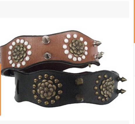 http://g03.a.alicdn.com/kf/HTB1uGhrIXXXXXctXXXXq6xXFXXXs/The-unique-dog-collar-and-leather-dog-collar-with-high-quality-which-is-the-necessities-for.jpg