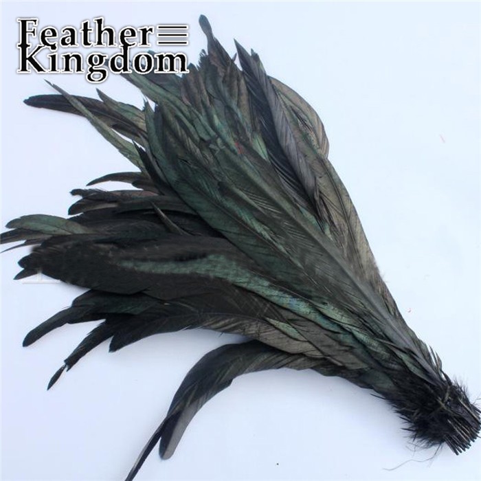 black chicken feather 01