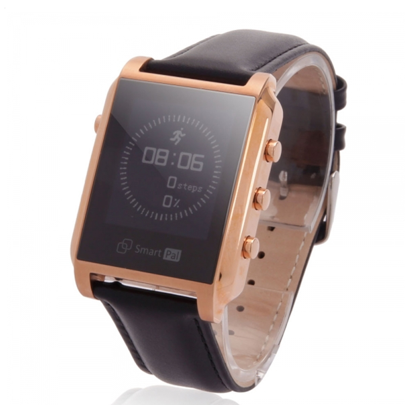 Smart Pal G1 Bluetooth Wristwatch Smart Watch with Remote Camera Pedometer GPS 
