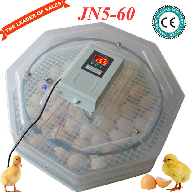  family use mini egg incubator for sale capacity 60 chicken eggs