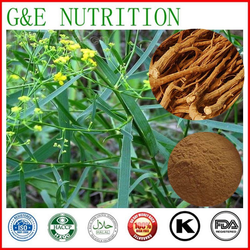 Chai hu herbal extract, Radix bupleuri extract, Chinese thorowax root extract 1000g